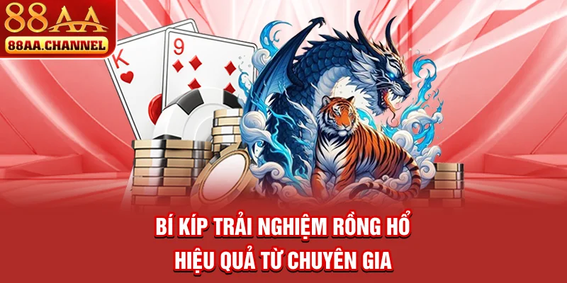 Bí kíp trải nghiệm Rồng Hổ hiệu quả từ chuyên gia